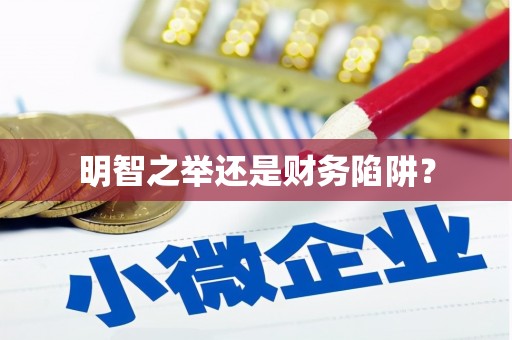 芦山明智之举还是财务陷阱？