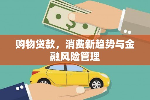 芦山购物贷款，消费新趋势与金融风险管理