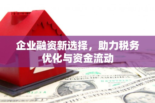 芦山企业融资新选择，助力税务优化与资金流动