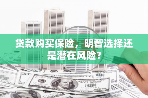 芦山贷款购买保险，明智选择还是潜在风险？