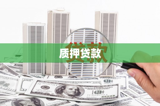 芦山质押贷款