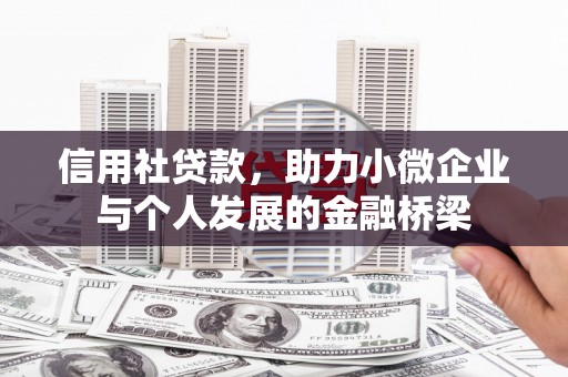 芦山信用社贷款，助力小微企业与个人发展的金融桥梁