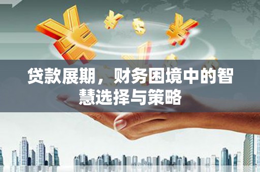 芦山贷款展期，财务困境中的智慧选择与策略