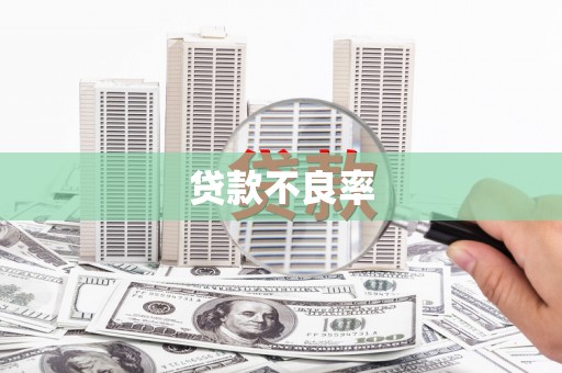 芦山贷款不良率