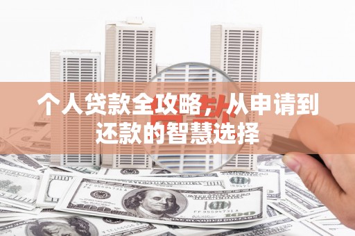 芦山个人贷款全攻略，从申请到还款的智慧选择