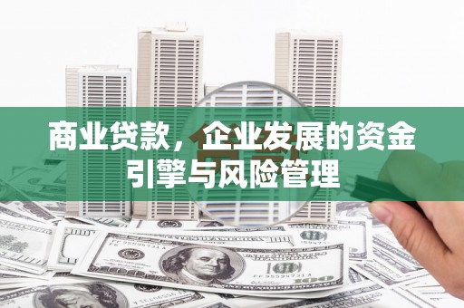 芦山商业贷款，企业发展的资金引擎与风险管理