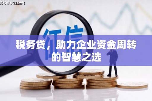 芦山税务贷，助力企业资金周转的智慧之选