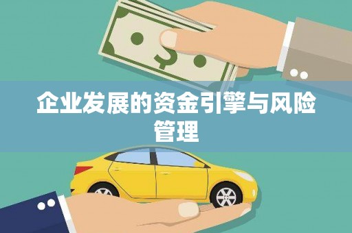 芦山企业发展的资金引擎与风险管理