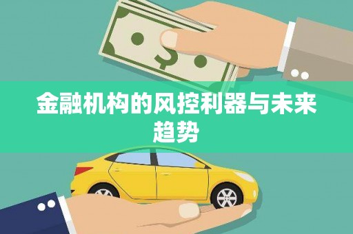芦山金融机构的风控利器与未来趋势