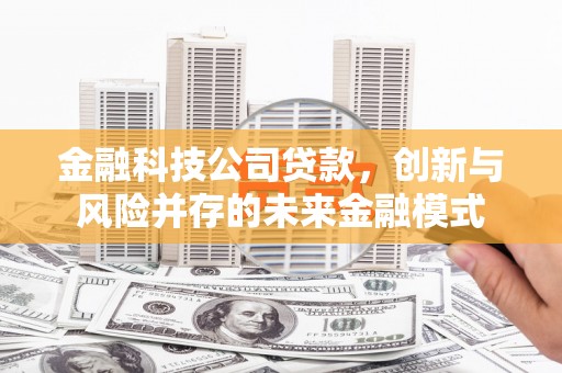 芦山金融科技公司贷款，创新与风险并存的未来金融模式