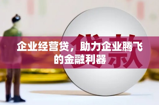 芦山企业经营贷，助力企业腾飞的金融利器