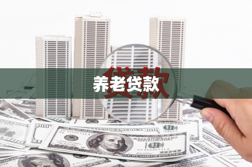 芦山养老贷款