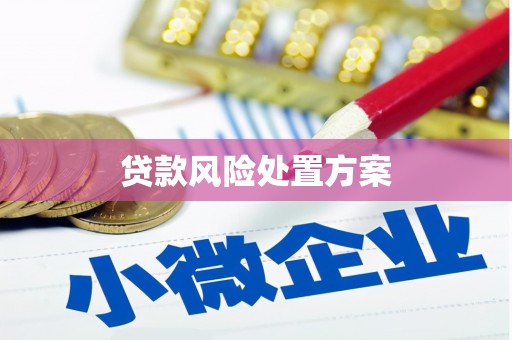 芦山贷款风险处置方案