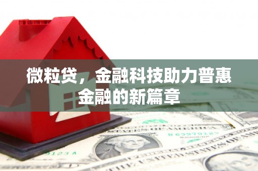 芦山微粒贷，金融科技助力普惠金融的新篇章