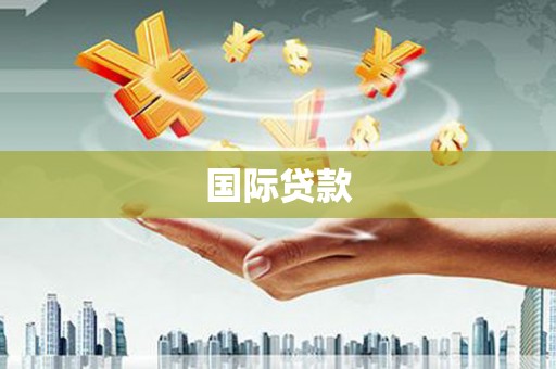 芦山国际贷款