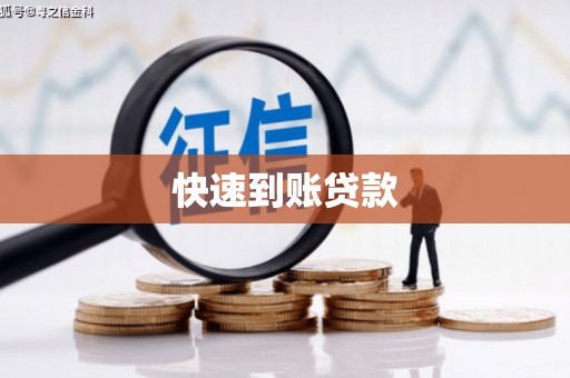 芦山快速到账贷款