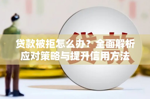 芦山贷款被拒怎么办？全面解析应对策略与提升信用方法