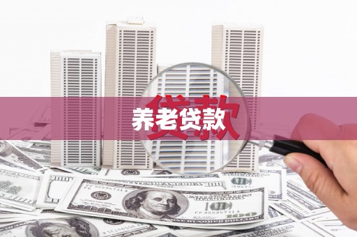 芦山养老贷款