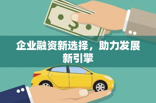 芦山企业融资新选择，助力发展新引擎