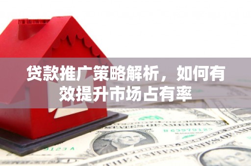 芦山贷款推广策略解析，如何有效提升市场占有率