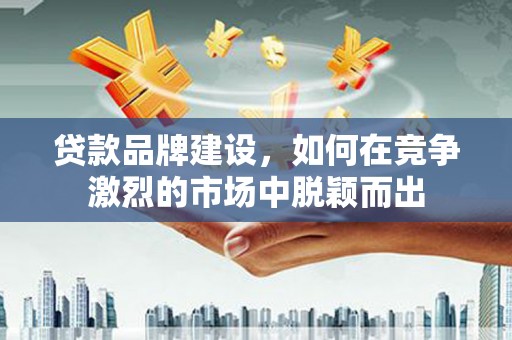 芦山贷款品牌建设，如何在竞争激烈的市场中脱颖而出