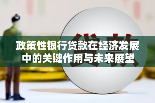 芦山政策性银行贷款在经济发展中的关键作用与未来展望