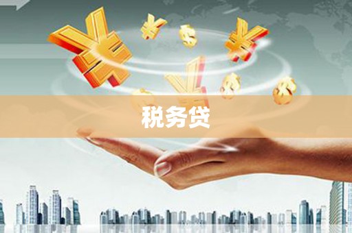 芦山税务贷