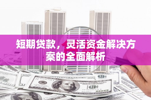 芦山短期贷款，灵活资金解决方案的全面解析