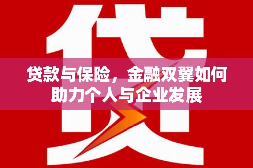 芦山贷款与保险，金融双翼如何助力个人与企业发展