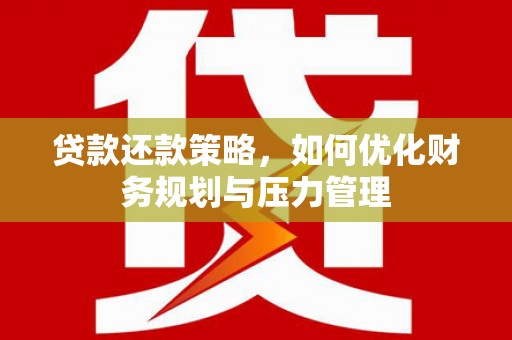 芦山贷款还款策略，如何优化财务规划与压力管理
