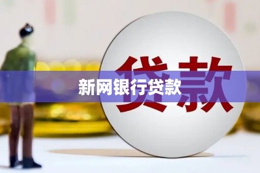 芦山新网银行贷款