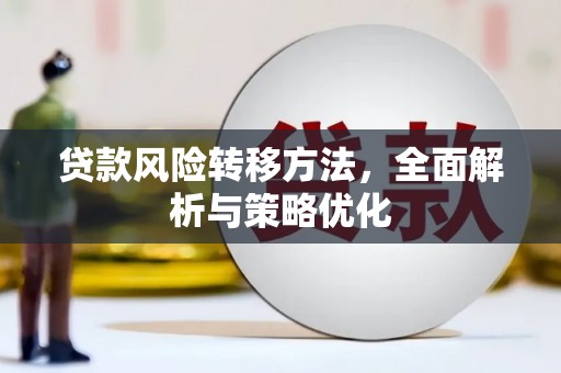 芦山贷款风险转移方法，全面解析与策略优化