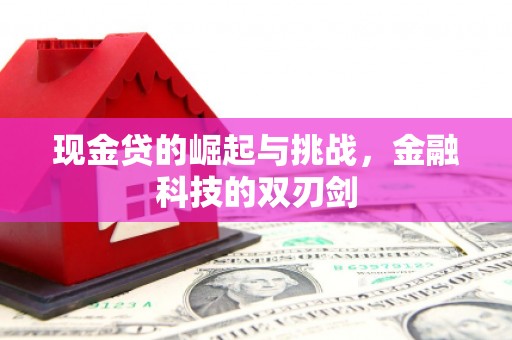 芦山现金贷的崛起与挑战，金融科技的双刃剑