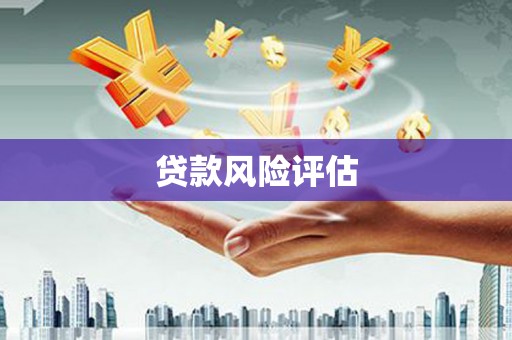 芦山贷款风险评估