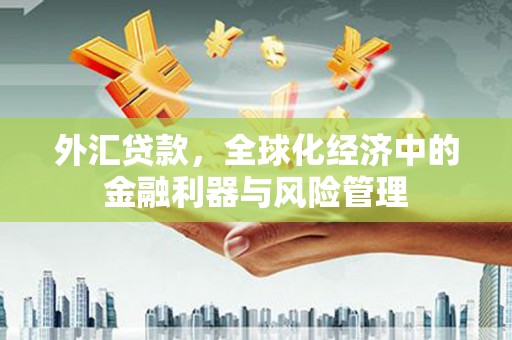 芦山外汇贷款，全球化经济中的金融利器与风险管理