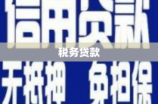 芦山税务贷款