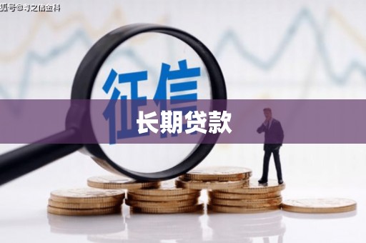 芦山长期贷款