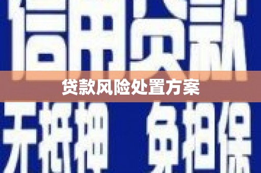 芦山贷款风险处置方案