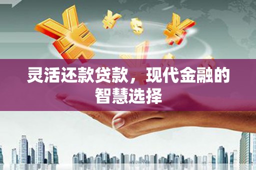 芦山灵活还款贷款，现代金融的智慧选择