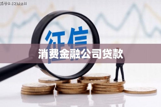 芦山消费金融公司贷款
