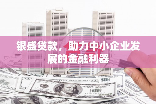 芦山银盛贷款，助力中小企业发展的金融利器