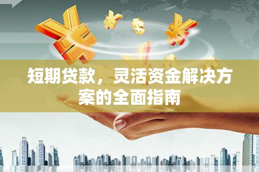 芦山短期贷款，灵活资金解决方案的全面指南