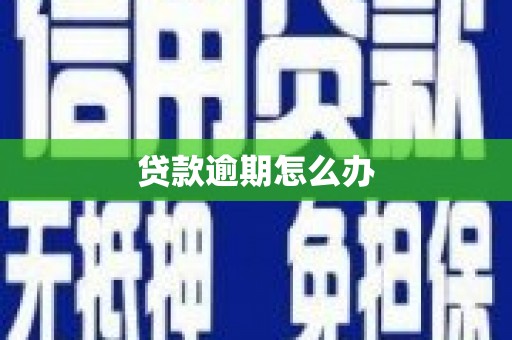 芦山贷款逾期怎么办