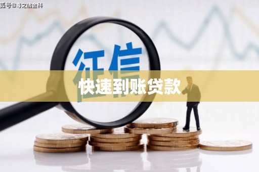 芦山快速到账贷款