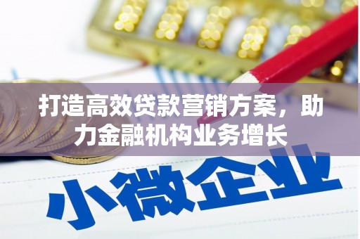 芦山打造高效贷款营销方案，助力金融机构业务增长