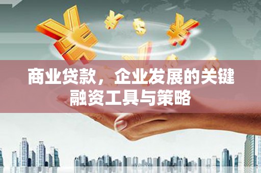 芦山商业贷款，企业发展的关键融资工具与策略