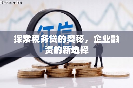 芦山探索税务贷的奥秘，企业融资的新选择