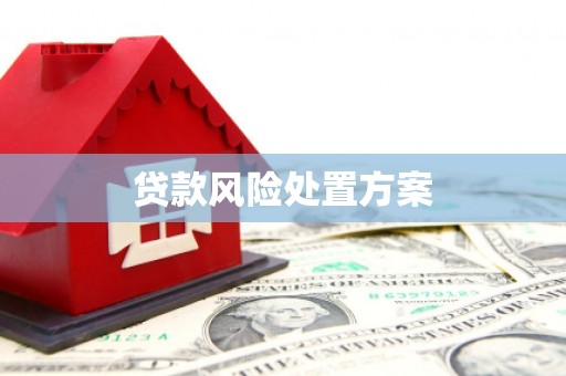 芦山贷款风险处置方案