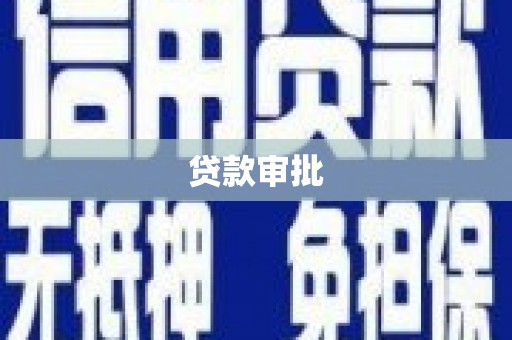 芦山贷款审批