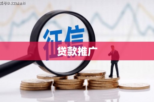 芦山贷款推广
